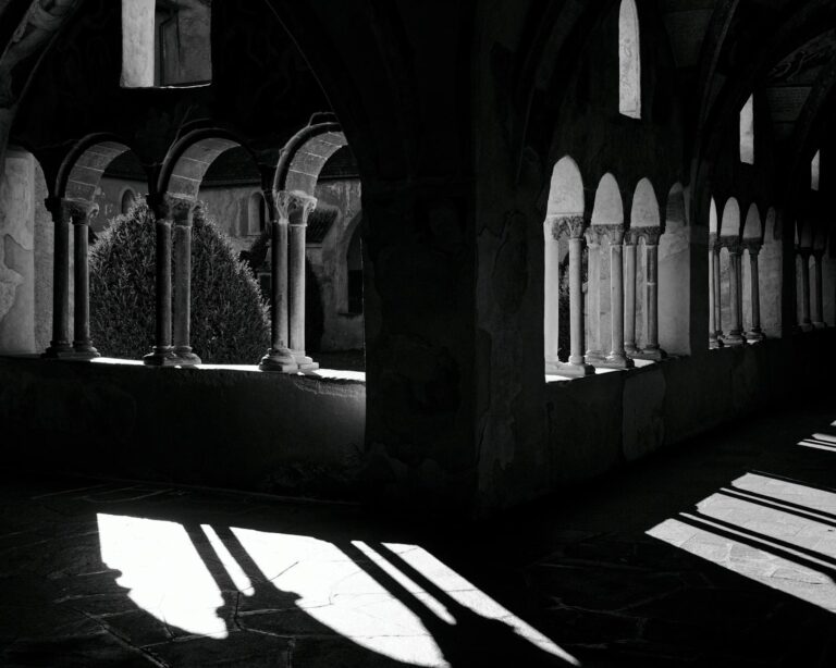 Saubere Dartpfeile mit gepflegten Flights und Spitzen für optimales Spiel zu Hause