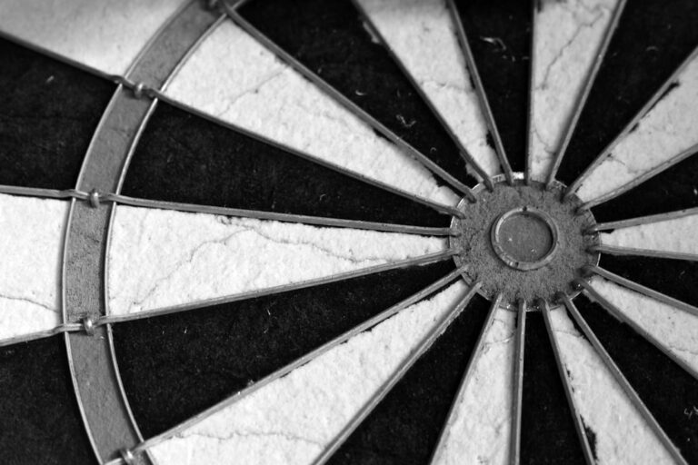 Nahaufnahme eines gepflegten Dartboards während der Dartboard Reinigung für langlebige Spielfläche