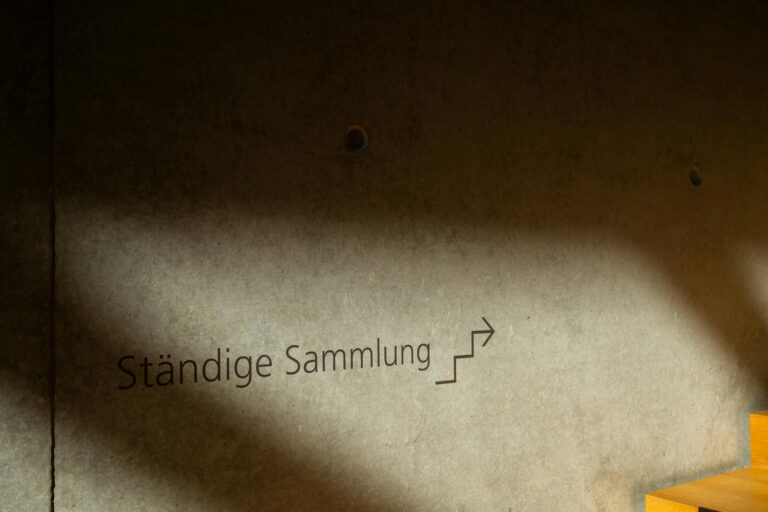 Darts App Empfehlungen für Einsteiger und Profis im Überblick Darts Spieler nutzen empfohlene Apps für Training und Punktestandverwaltung