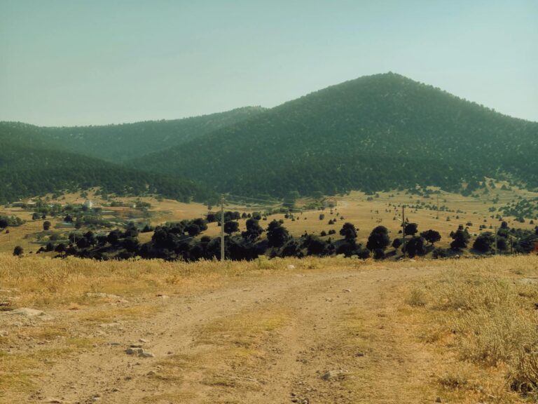 Dartspieler mit sicherer Ausrüstung und Schutz beim Werfen der Pfeile