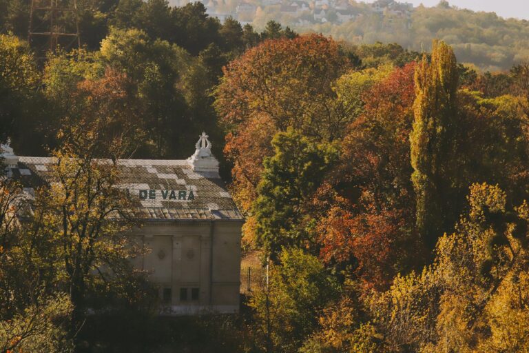 Dartpfeile fallen raus – Ursachen erkennen und richtig handeln Dartpfeile fallen aus der Dartscheibe durch falsche Wurftechnik und Materialprobleme