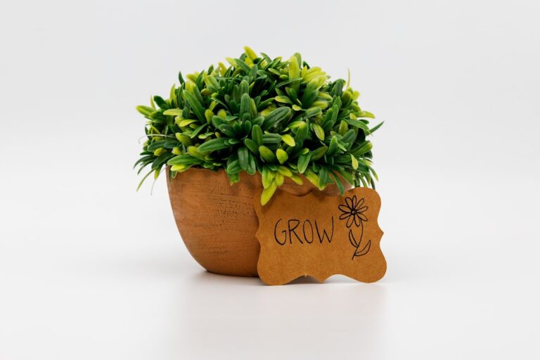 Moderne Grow-Umgebung mit Beleuchtung und Belüftung für erfolgreiches Heim-Growing