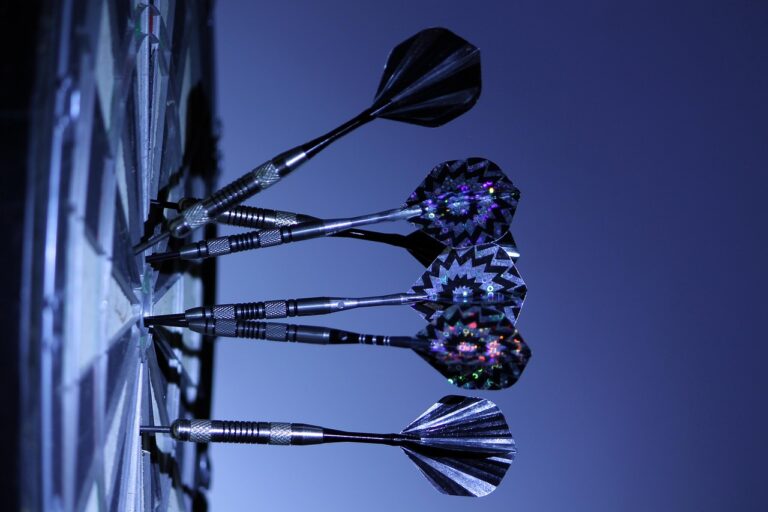Profi Dartboard aus Sisal mit Metall-Spider für präzises Dartspielen und Turniere