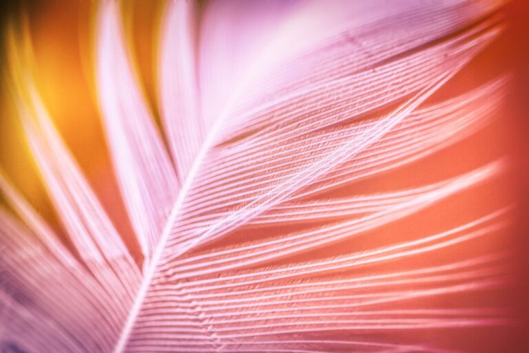 Einsteiger bei WM Wetten setzen auf einfache Darts-WM Wettstrategien