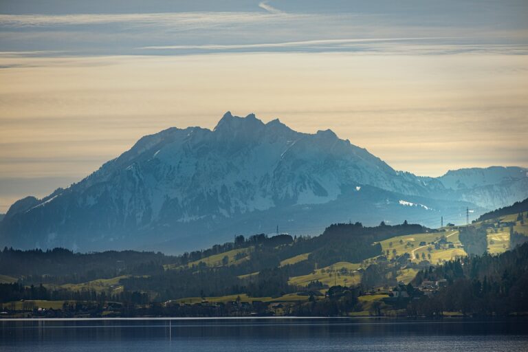 Wurftechnik Zug Darts perfekt meistern für mehr Präzision und Erfolg Originelle Darts Geschenkideen für Fans und Spieler kreative und praktische Accessoires